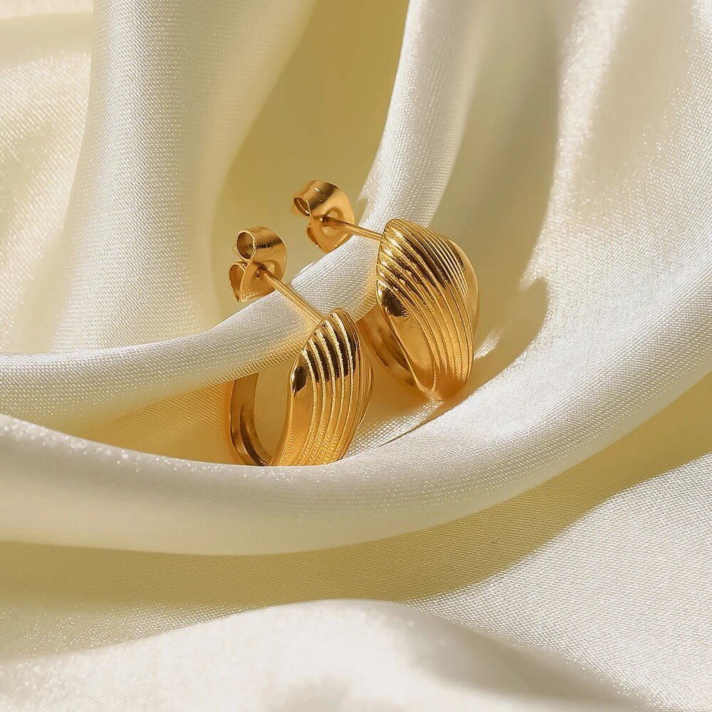 Hoop Rafaella Earring | Vallria
