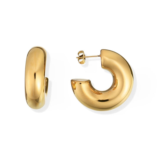 Hoop Chunky Earring | Vallria