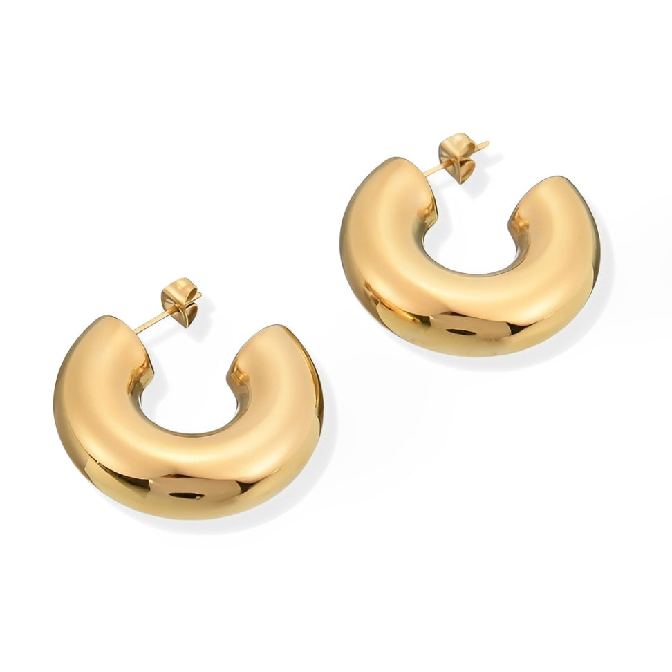 Hoop Chunky Earring | Vallria