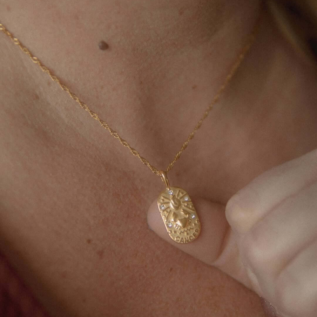Zodiac Chain Braided Necklace | Vallria