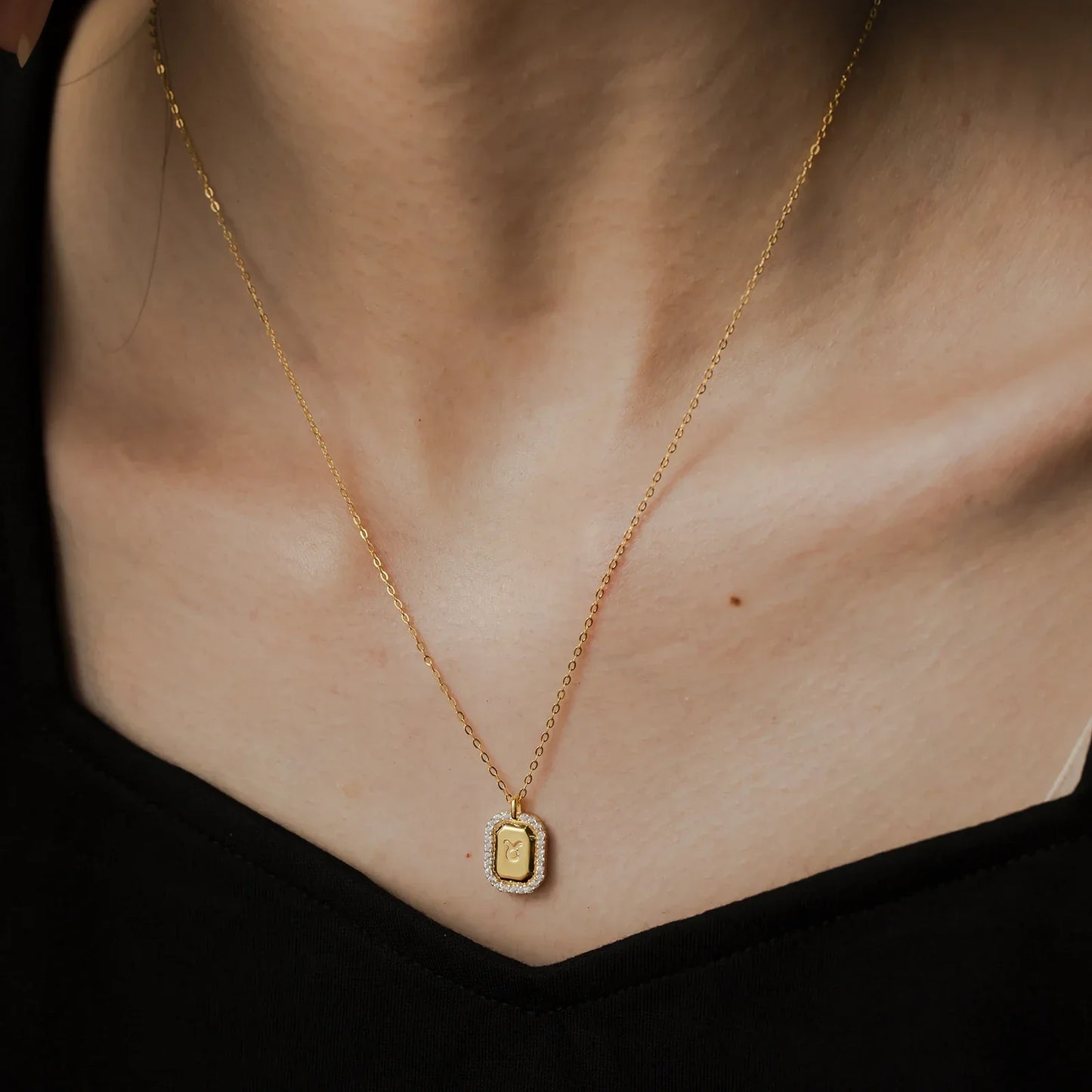 12 Signs of Zodiac Cubic Zirconia Necklace | Vallria