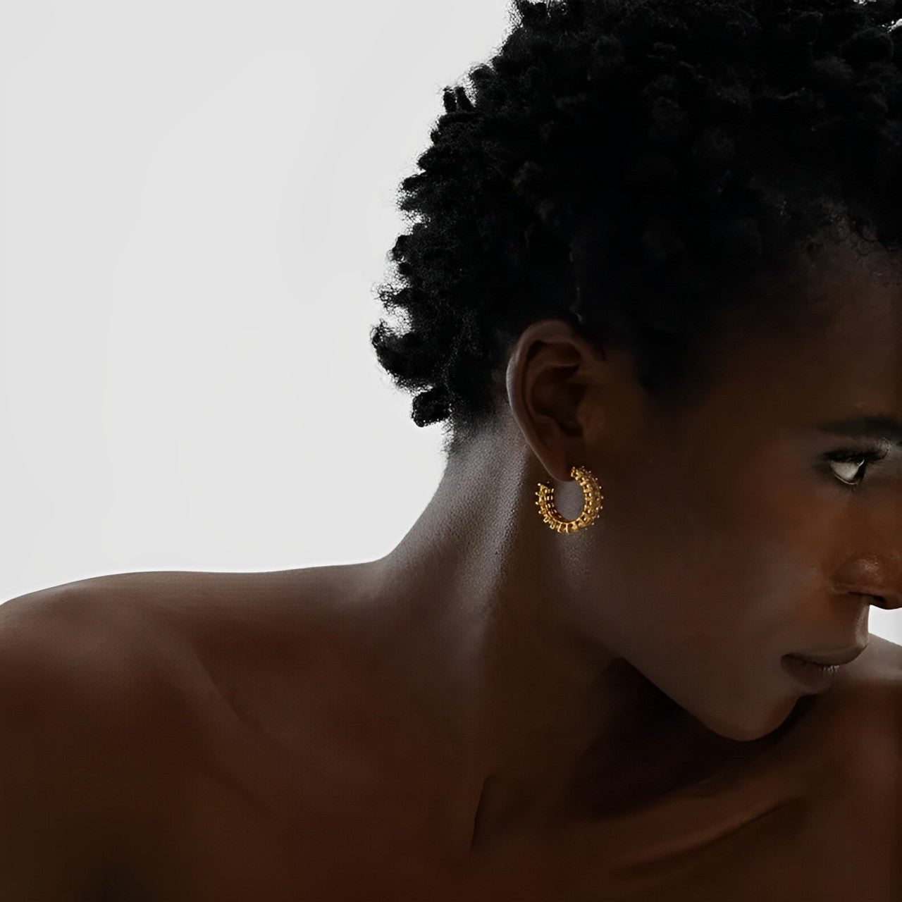 Hoop Serena Cubic Zirconia Earring | Vallria