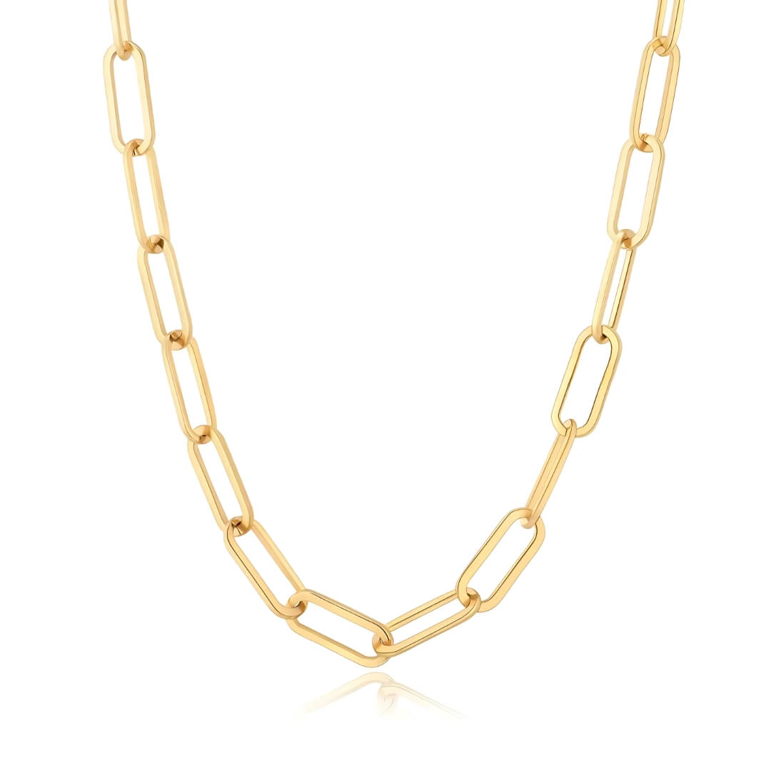 Chain Link Long Necklace | Vallria