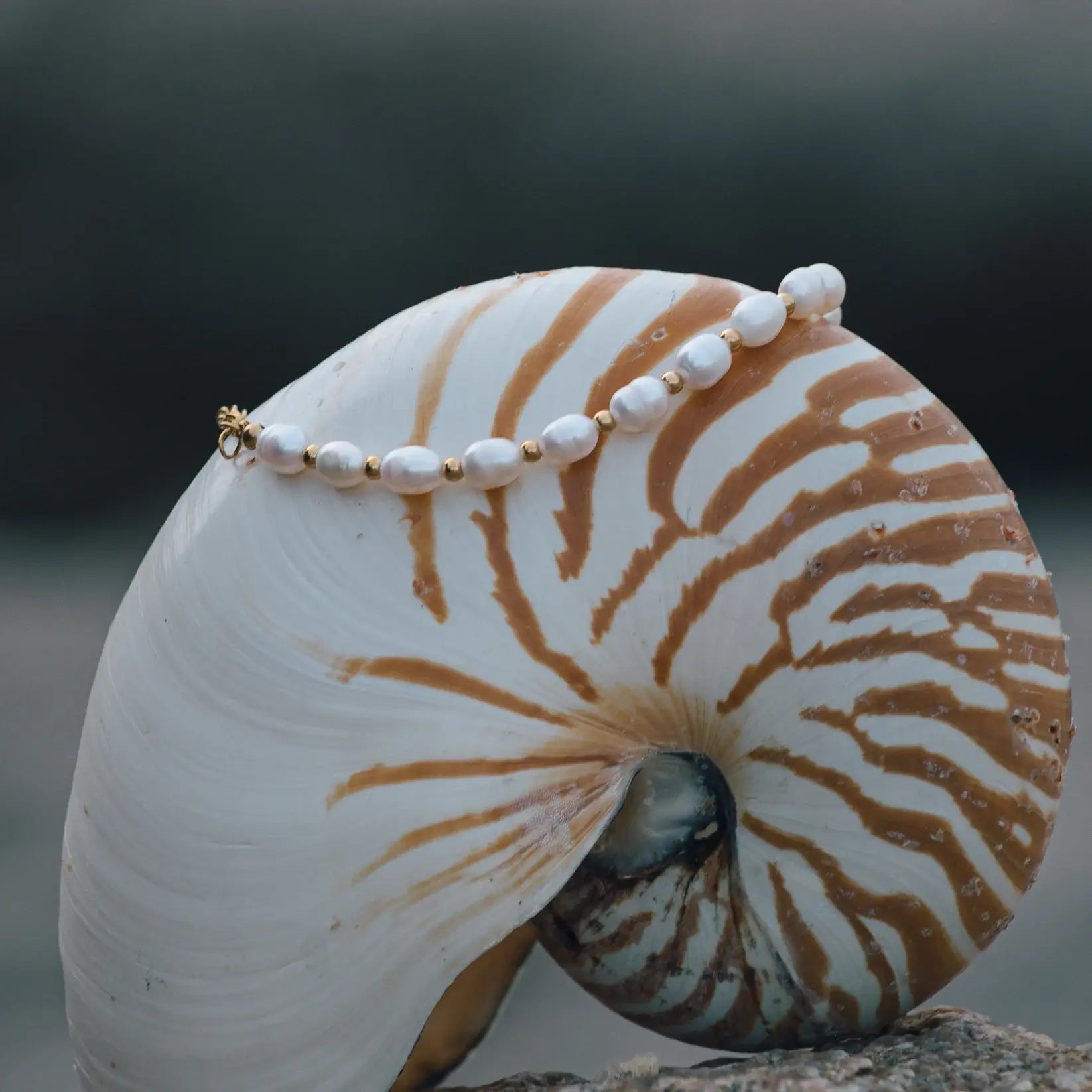 Classic Pearl Natural Bracelet | Vallria