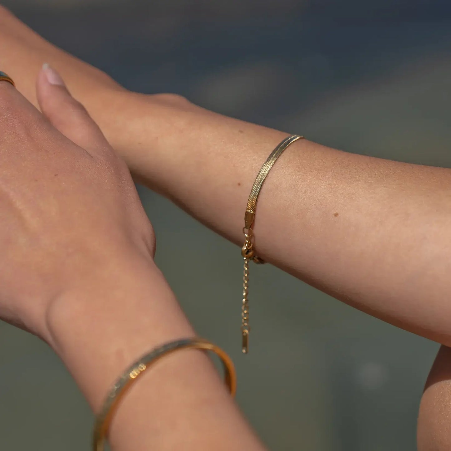 Snake Mesh Bracelet | Vallria