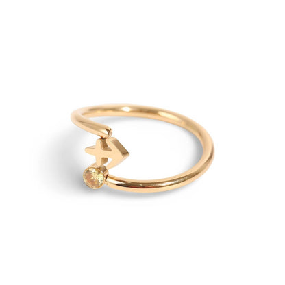 Zodiac Ring | Vallria